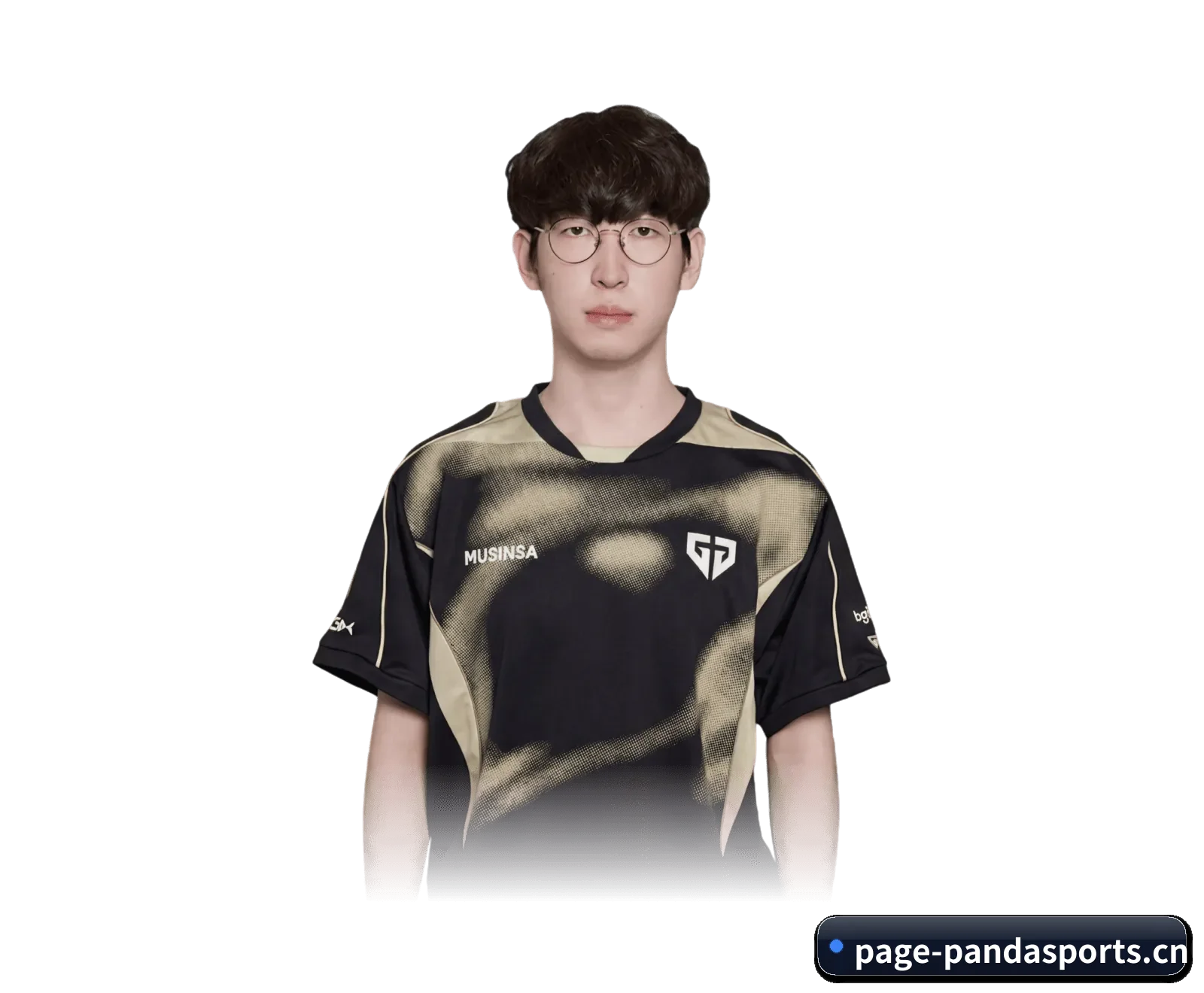 熊猫体育 APP 界面（PANDA SPORTS）